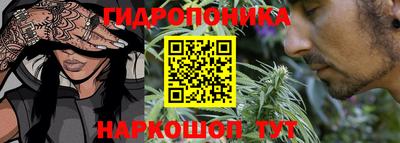 стаф Пенза