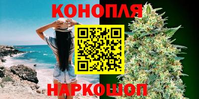 стаф Пенза