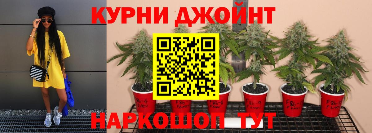Бошки марихуана LSD WEED  Бошки Шишки ГИДРОПОН  Пушкино  МАРИХУАНА индика  Вход с VPN 